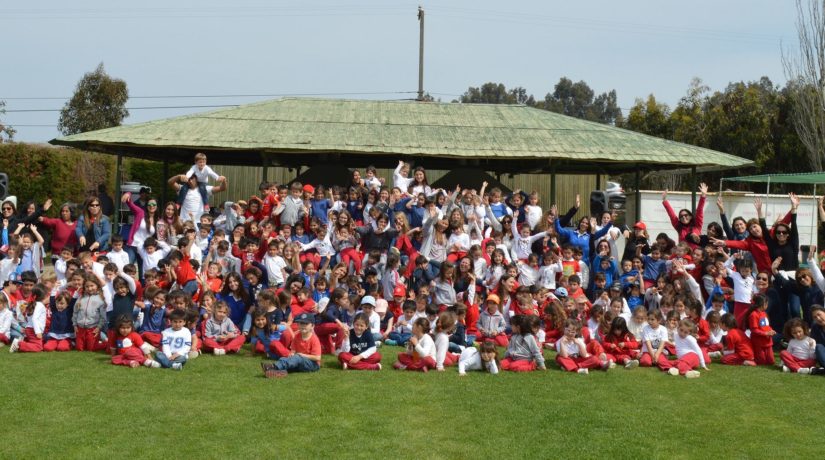 Mixed Day Pre Básica